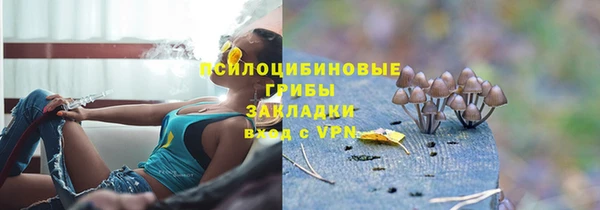каннабис Арсеньев