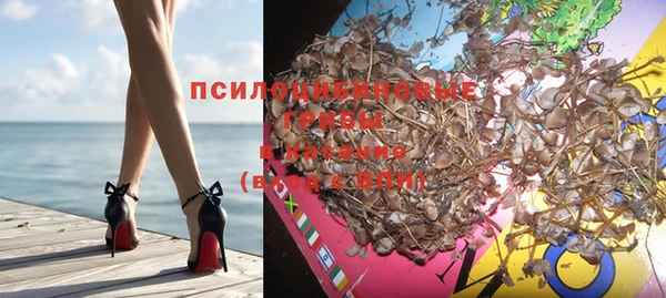каннабис Арсеньев