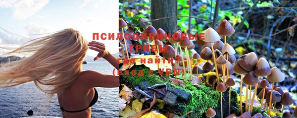 каннабис Арсеньев