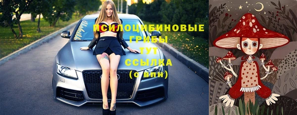 соль курить ск Михайлов
