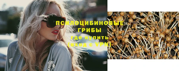 каннабис Аркадак