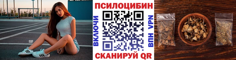 магазин продажи наркотиков  Почеп  Галлюциногенные грибы Psilocybe 